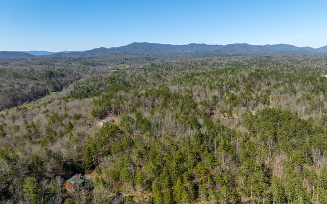 3AC Coatopa Ct, Ellijay GA, 30540 land for sale