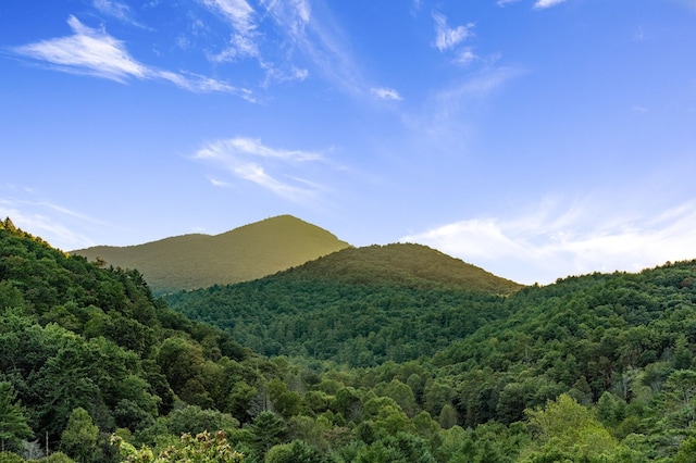 view of mountain feature