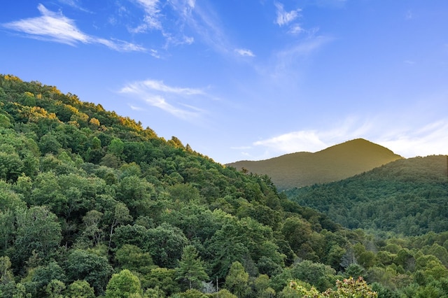 view of mountain feature