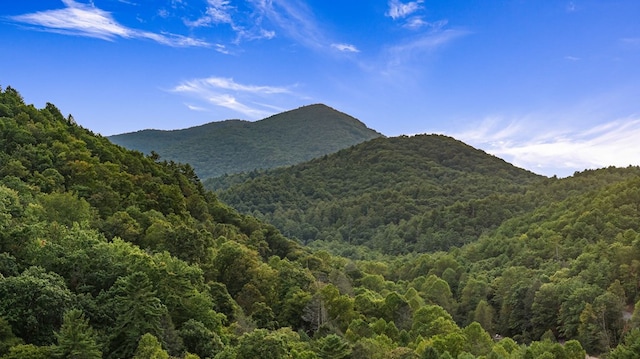 property view of mountains