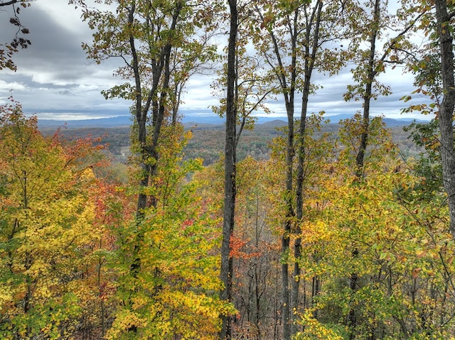 view of landscape featuring a mountain view