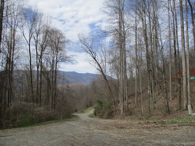 Listing photo 3 for LT5 High Meadows Rdg, Hayesville NC 28904