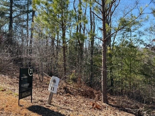 LOT11 Long View Ln, Blue Ridge GA, 30513 land for sale