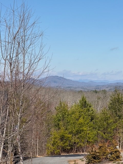 Listing photo 3 for LOT11 Long View Ln, Blue Ridge GA 30513