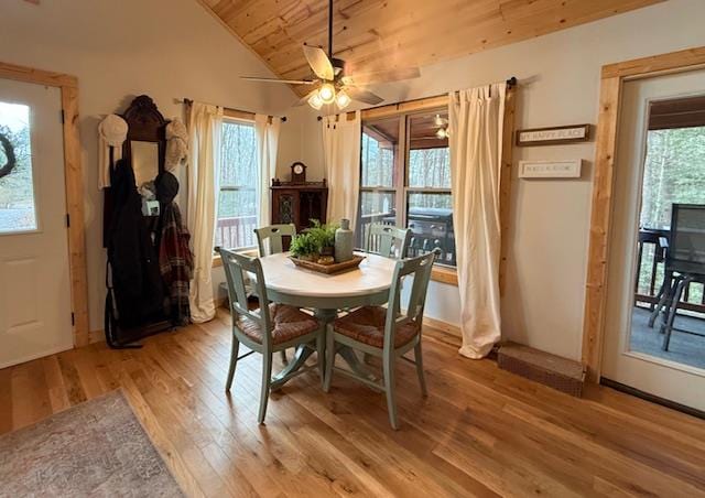 dining space with light wood-style floors, lofted ceiling, wood ceiling, and ceiling fan