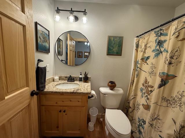 full bathroom with toilet, curtained shower, and vanity