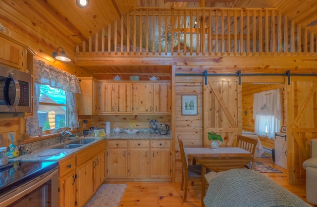 15 June Marie Ln, Murphy, NC 28906 - kitchen featuring a sink, stainless steel appliances, wooden walls, high vaulted ceiling, and light wood-type flooring