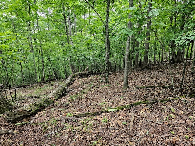 LOT13-B Mountain Top Dr, Murphy, NC 28906