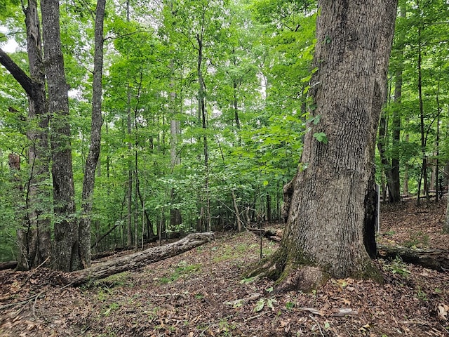LOT13-B Mountain Top Dr, Murphy, NC 28906