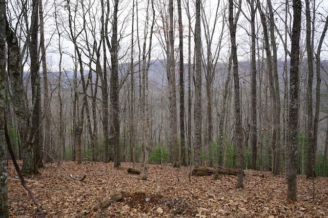 LOT13-B Mountain Top Dr, Murphy, NC 28906
