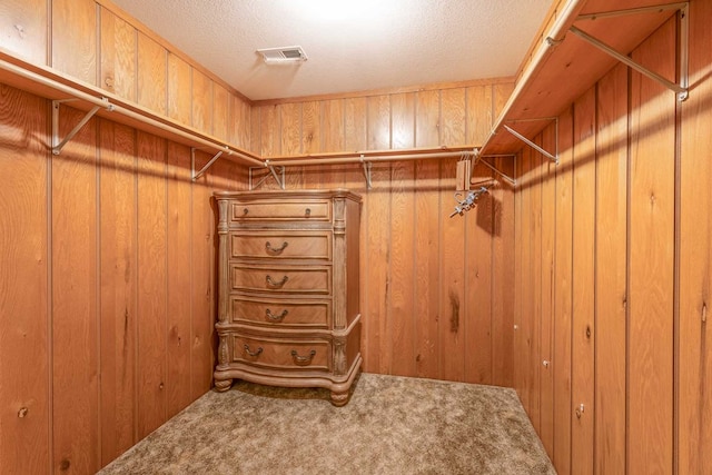 132 Silver Birch Ln, Marble, NC 28905 - spacious closet featuring carpet floors