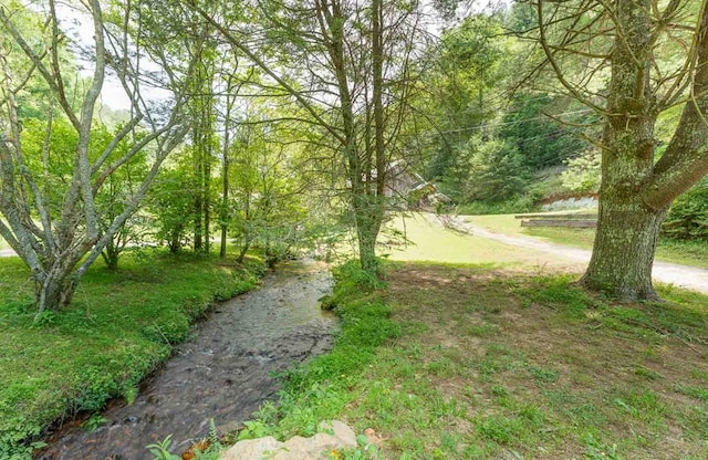 132 Silver Birch Ln, Marble, NC 28905 - view of yard with a forest view