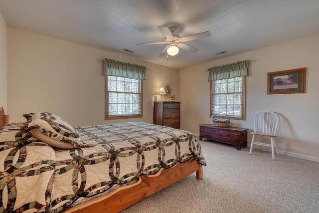 2478 Hi River Rd, Hiawassee, GA 30546 - carpeted bedroom with multiple windows, baseboards, visible vents, and a textured ceiling