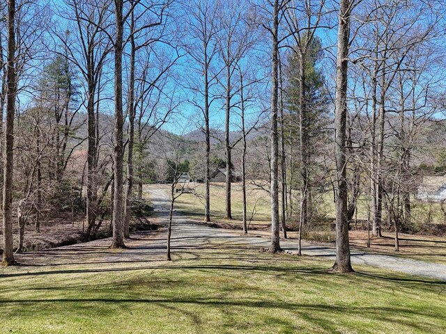2478 Hi River Rd, Hiawassee, GA 30546 - view of home's community with a lawn and a mountain view