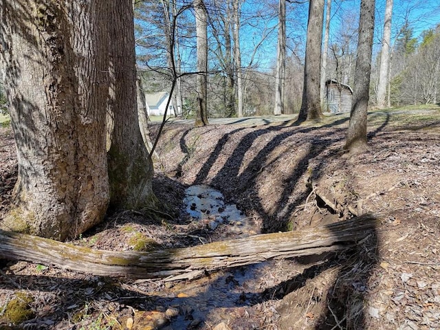 2478 Hi River Rd, Hiawassee, GA 30546 - view of nature