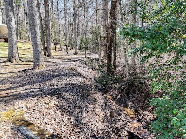 2478 Hi River Rd, Hiawassee, GA 30546 - view of street