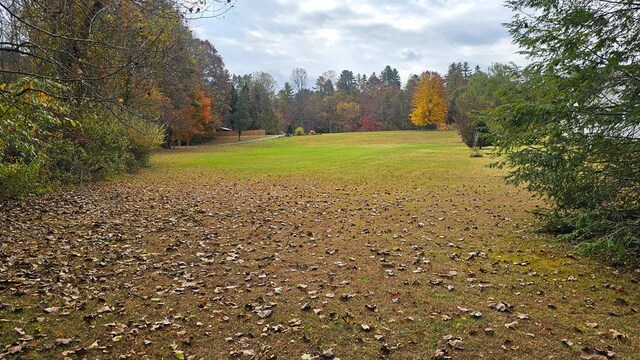 2478 Hi River Rd, Hiawassee, GA 30546 - view of yard with a forest view
