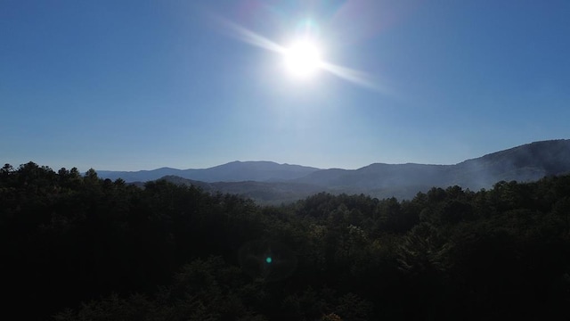 LT4 Skyline Rd, Turtletown TN, 37391 land for sale