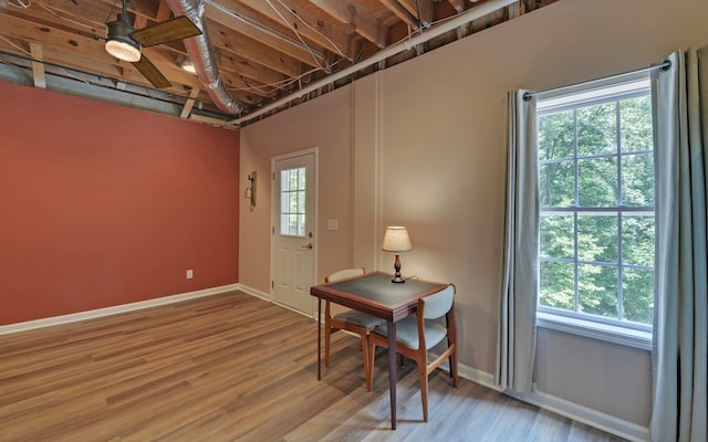 foyer with ceiling fan, light hardwood / wood-style floors, and a wealth of natural light