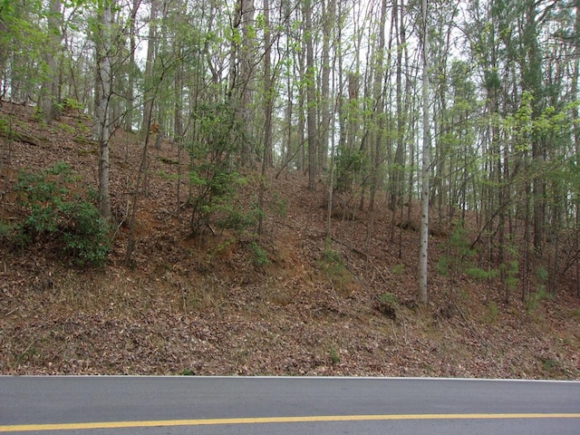 2090R Newport Dr, Lot Ellijay GA, 30540 land for sale