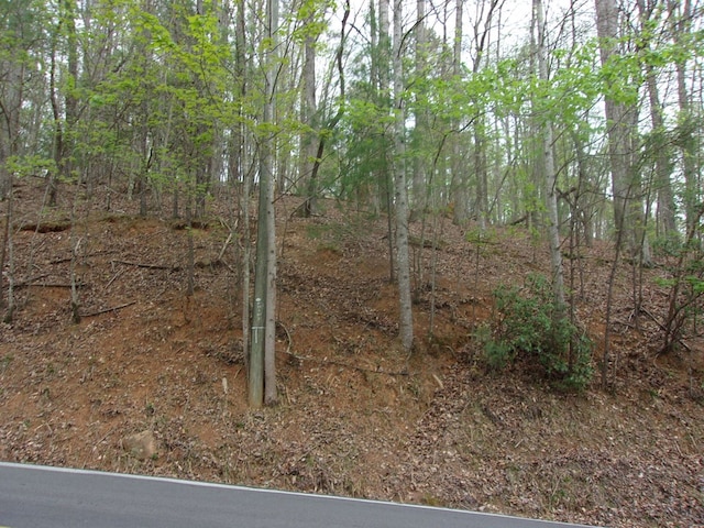 Listing photo 2 for 2090R Newport Dr, Lot Ellijay GA 30540