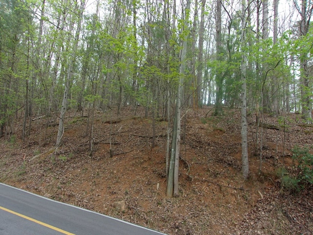 Listing photo 3 for 2090R Newport Dr, Lot Ellijay GA 30540