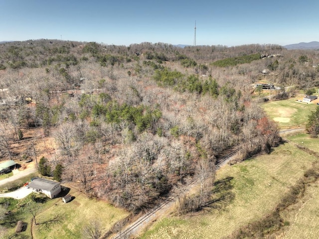 6.74AC Doxol St, Blue Ridge, GA 30513