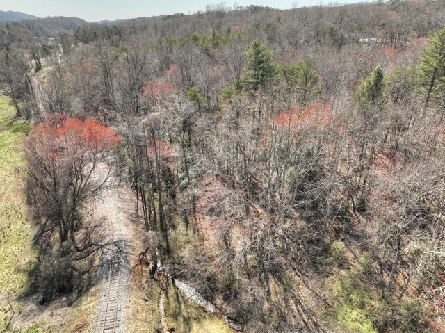 6.74AC Doxol St, Blue Ridge, GA 30513