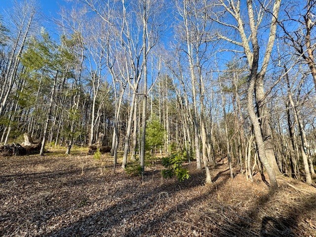 6.74AC Doxol St, Blue Ridge, GA 30513