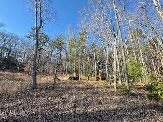 6.74AC Doxol St, Blue Ridge, GA 30513
