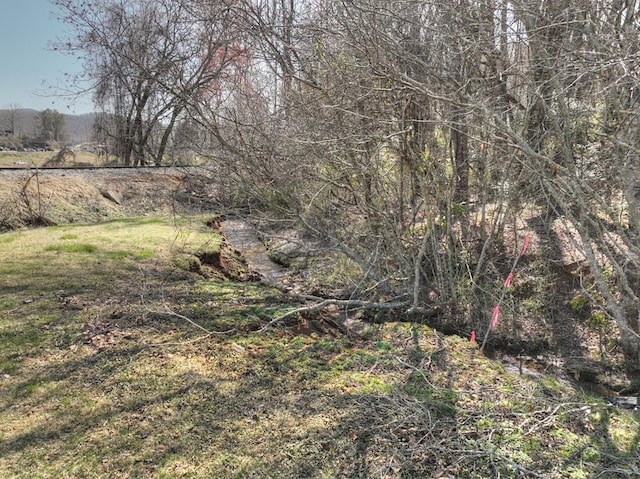 6.74AC Doxol St, Blue Ridge, GA 30513