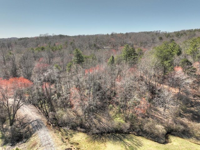 6.74AC Doxol St, Blue Ridge, GA 30513