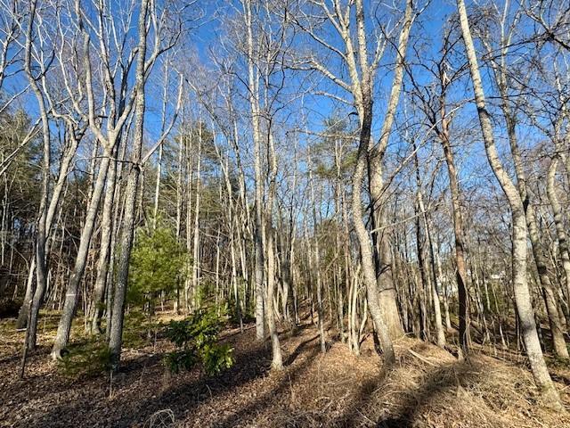 6.74AC Doxol St, Blue Ridge, GA 30513