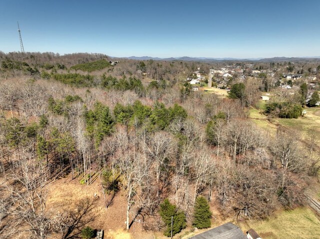 6.74AC Doxol St, Blue Ridge, GA 30513