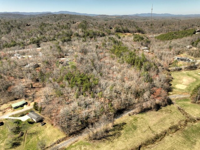 6.74AC Doxol St, Blue Ridge, GA 30513