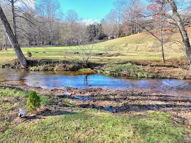 539 Nicholson Trl, Hiawassee, GA 30546 - water view