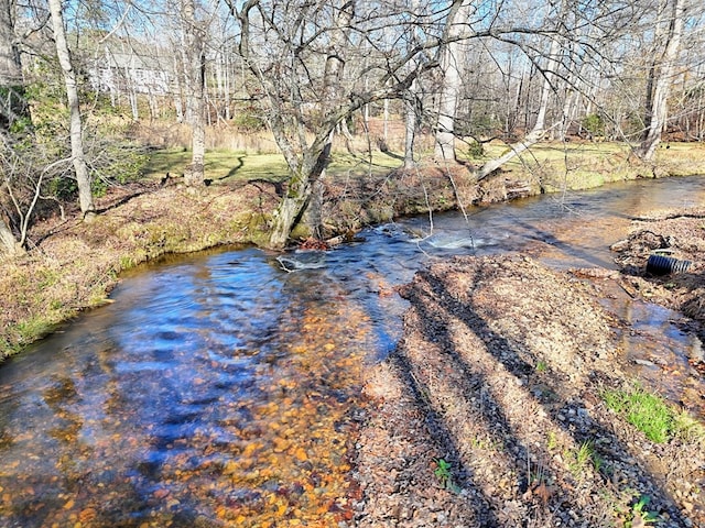 539 Nicholson Trl, Hiawassee, GA 30546 - water view featuring a tree filled landscape