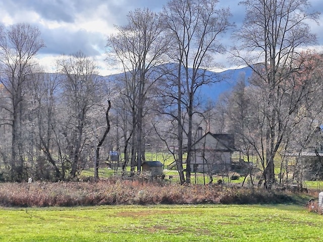 539 Nicholson Trl, Hiawassee, GA 30546 - view of grassy yard featuring a mountain view