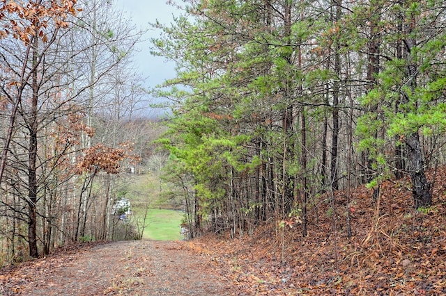 539 Nicholson Trl, Hiawassee, GA 30546 - view of road with a wooded view