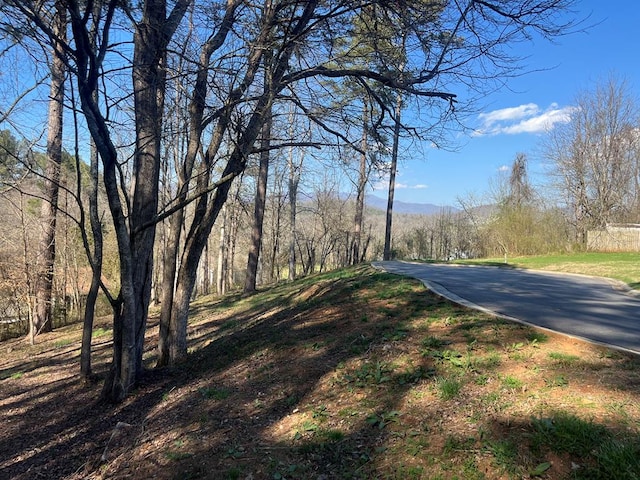 LOT11 Bent Grass Cir, Hayesville NC, 28904 land for sale