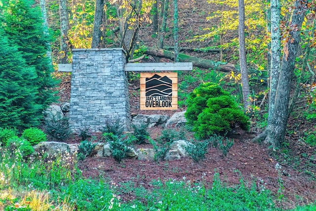 Listing photo 2 for LOT50 Jakes Landing Way, Ellijay GA 30540