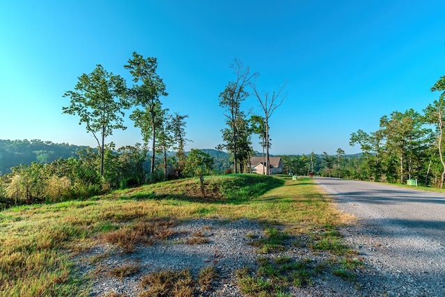 Listing photo 3 for LOT50 Jakes Landing Way, Ellijay GA 30540