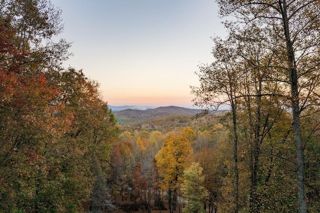 mountain view featuring a wooded view