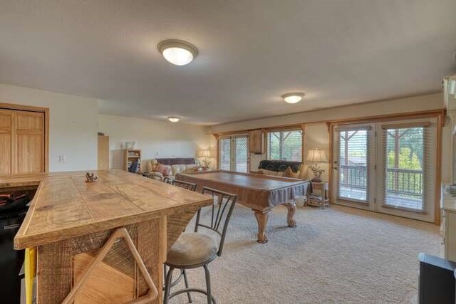 246 Serenity Pointe Dr, Murphy, NC 28906 - playroom with french doors, billiards, and carpet flooring