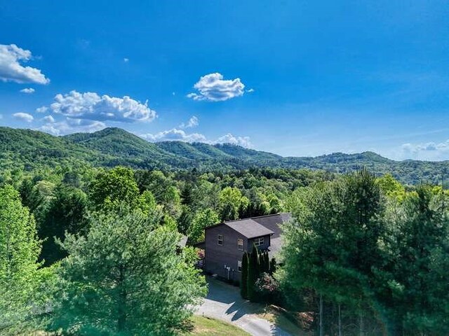 246 Serenity Pointe Dr, Murphy, NC 28906 - view of mountain feature featuring a forest view