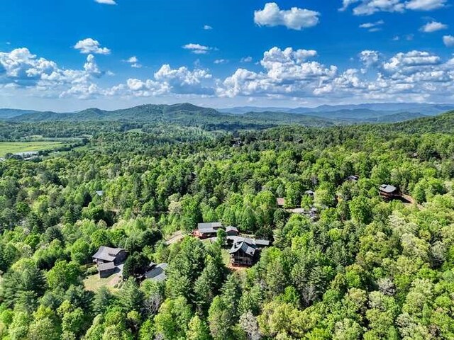 246 Serenity Pointe Dr, Murphy, NC 28906 - birds eye view of property featuring a mountain view and a wooded view