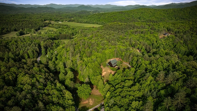 view of property location with a forest and mountains