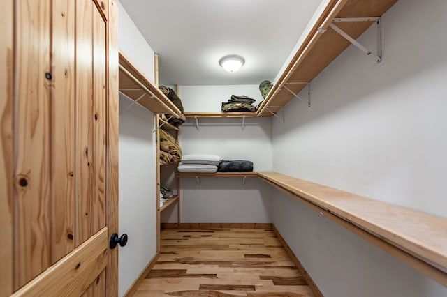 spacious closet with light wood-style flooring