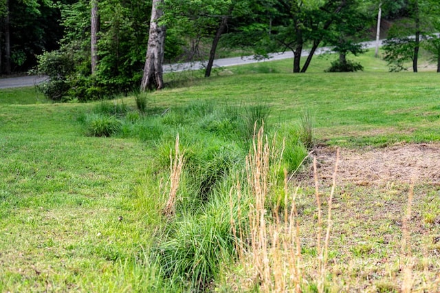 view of grassy yard
