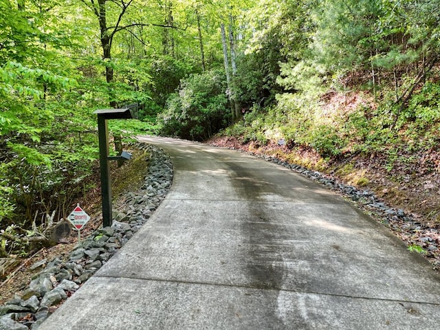 surrounding community featuring a forest view and driveway